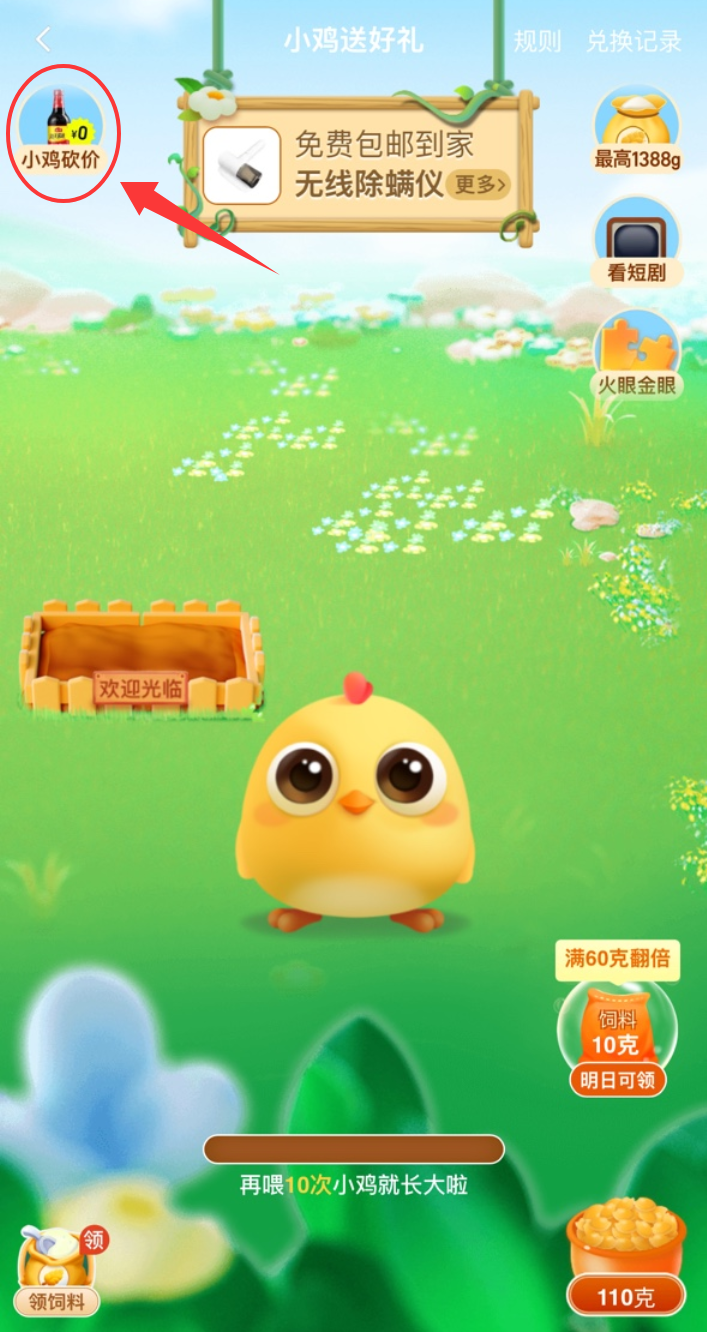 图片[5]-淘特小鸡砍价（介绍教程） - 灰豹网络-灰豹网络