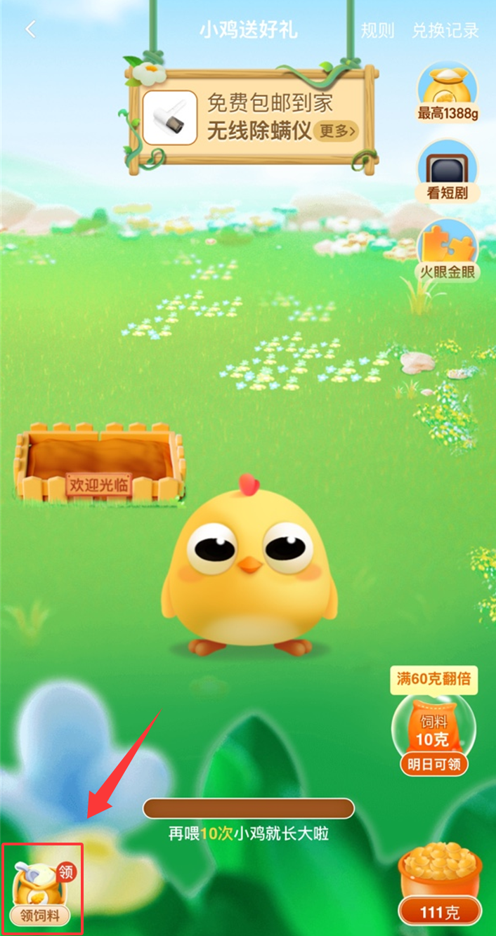 图片[2]-淘特小鸡砍价（介绍教程） - 灰豹网络-灰豹网络